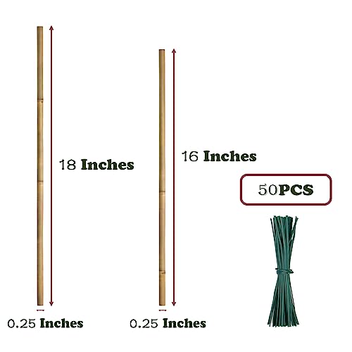 Plant Stakes 50Pcs 16IN,POLIUMB Premium Natural Bamboo Stakes Garden Stakes - size: 16Inches