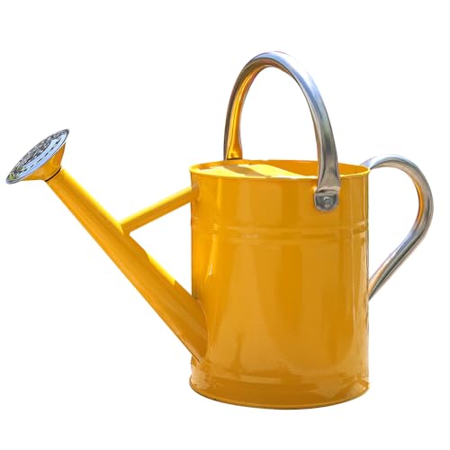 Metal Watering Can, 1 Gallon for Outdoor Garden Plants,Yellow - color: Yellow