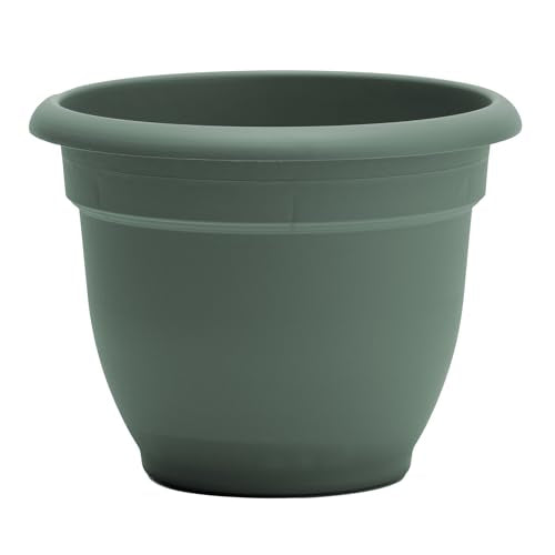 Bloem Ariana 12" Plastic Self-Watering Planter, Basil, 2-Pack - color: Basil, size: 12" (Pack of 2)