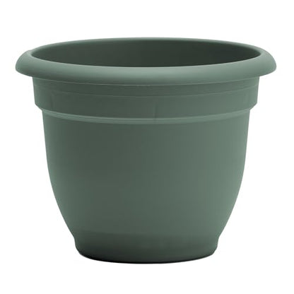 Bloem Ariana 12" Plastic Self-Watering Planter, Basil, 2-Pack - color: Basil, size: 12" (Pack of 2)