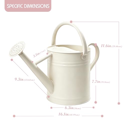 Metal Watering Can for Outdoor Plants, Watering Can 1 Gallon,Cream White - color: Cream White