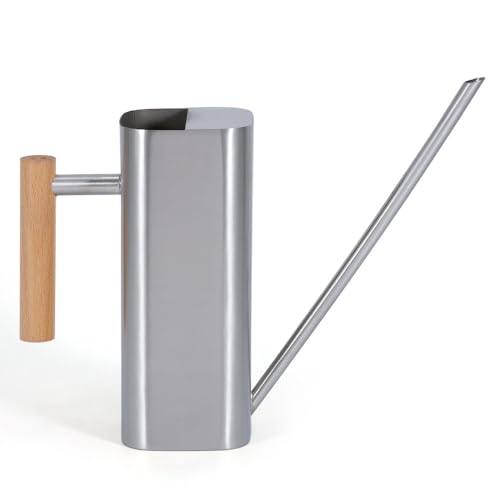 Stainless Steel Watering Can, 1L/35oz for Indoor Plants - color: Silver, size: Large