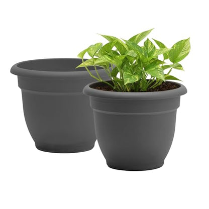 Bloem Ariana 16" Plastic Self-Watering Planter, Charcoal, 2-Pack - color: Charcoal, size: 16" (Pack of 2)