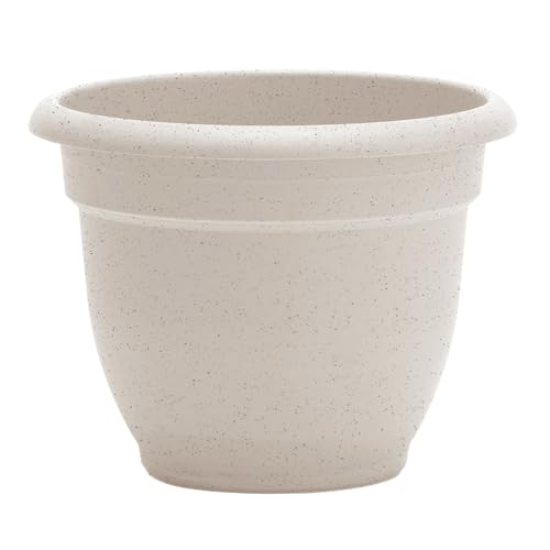 Bloem Ariana 12" Plastic Self-Watering Planter, Vanilla Bean, 2-Pack - color: Vanilla Bean, size: 12" (Pack of 2)