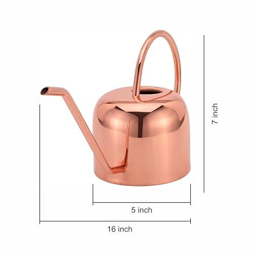 Indoor Watering Can and Planter with Plate.