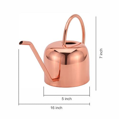 Indoor Watering Can and Planter with Plate.