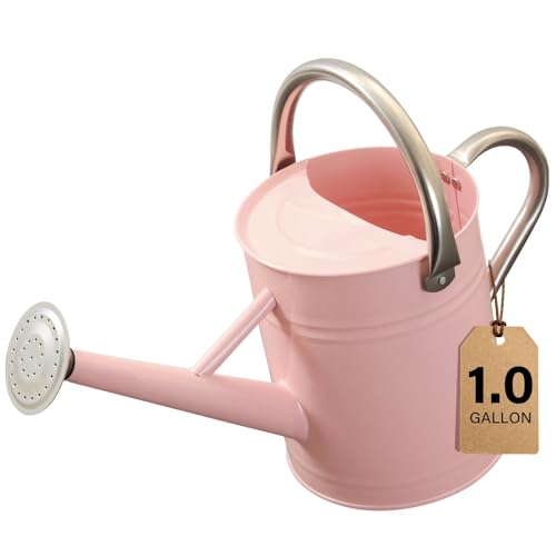 1 Gallon Watering Can for Outdoor&Indoor Plants，Pink - color: Pink