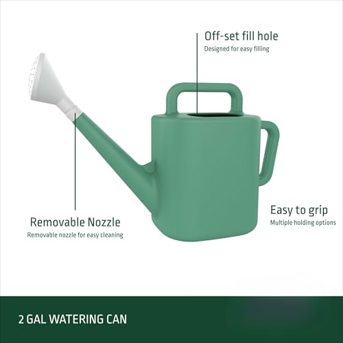 2 Gallon Resin Watering Can Green,for Indoor & Outdoor Plants