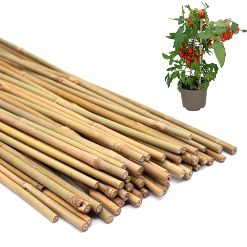 Plant Stakes 50Pcs 18IN,POLIUMB Premium Natural Bamboo Stakes Garden Stakes - size: 18Inches