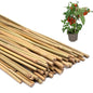 Plant Stakes 50Pcs 16IN,POLIUMB Premium Natural Bamboo Stakes Garden Stakes - size: 16Inches