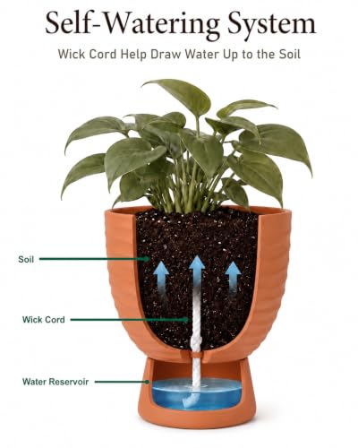 vensovo Terracotta Self Watering Plant Pots, 6 and 8 Inch with Saucers - color: Terracotta
