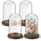 Suclain 4Pc Glass Dome Cloche with Wood Base, Brown, 6.7" X 3.8" - color: Brown, size: 6.7" X 3.8"