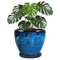 Ceramic Plant Pots With Saucer & Drainage Hole, 10 inch Indoor Flower Pots - color: Blue, size: 10 inch