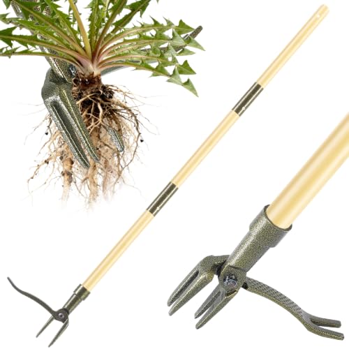 Weed Puller Tool, Stand Up Heavy Duty Weed Remover Tool with Long Handle – 4-Claw Steel Head Weeder for Dandelions, Bamboo Garden Hand Weeding Tool, No Kneeling for Easy Root Removal - color: Bamboo brown