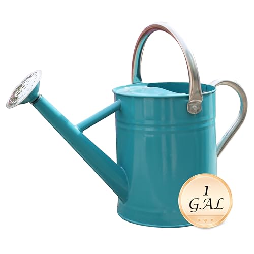 Metal Watering Can for Outdoor Plants, Watering Can 1 Gallon (Leaf Green) - color: 006 Leaf Green