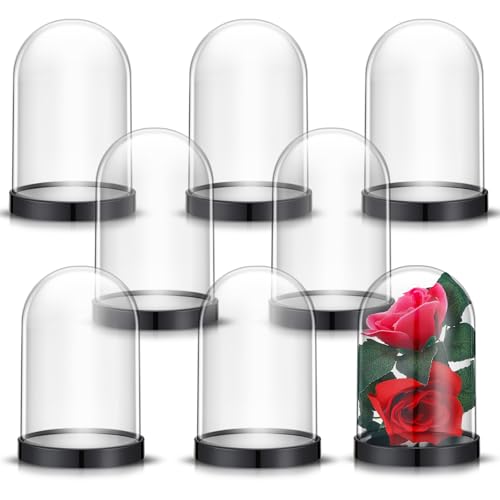 Zhengmy 4 Pcs Plastic Dome with Base Cloche for Craft Clear Display Case