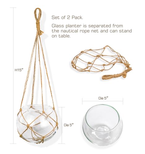 SAILINGSTORY Hanging Glass Plant Terrarium 5" Clear Set of 2 Pack