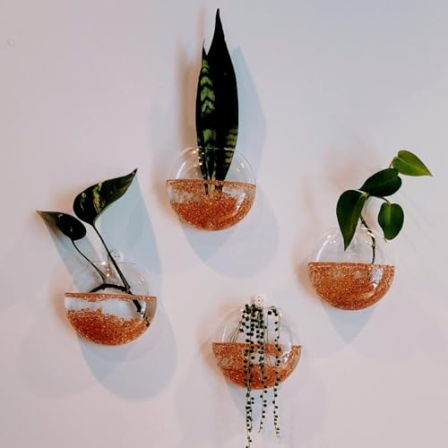 4 Pack Wall Propagation Planters, Oblate Glass Hanging Terrarium
