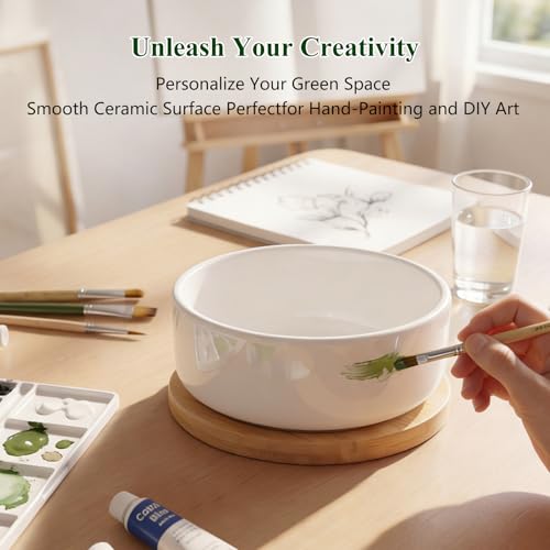 ZOUTOG 2 Pack 6" Ceramic Succulent Pots, White Planters with Drainage Tray - color: 2 Pack, size: 2.28 Inch High