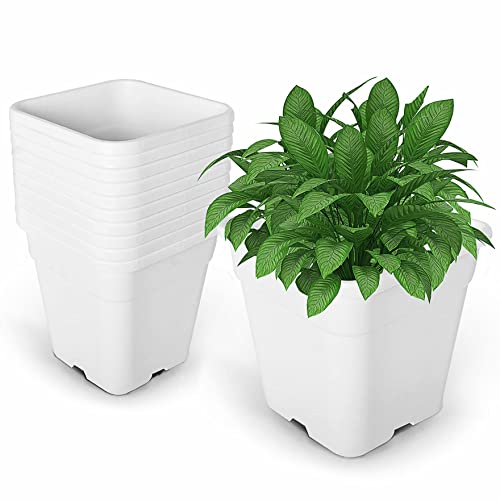 10-Pack 1 Gallon Square Planter Nursery Pots - Injection Molded Plastic Gardening Pots for Indoor & Outdoor Vegetables, Succulents, White - color: White, size: Square-1Gallon-10pcs