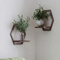 2 Pack Hexagon Wall Plant Stands, 9 Inch Walnut Wood Shelf Coffee - color: 2 Pack Coffee-a