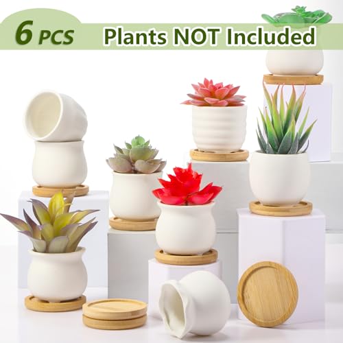 Remerry 6 Pcs 2.5 Inch Mini DIY Ceramic Succulent Pots with Bamboo Tray - size: 2.5 Inch