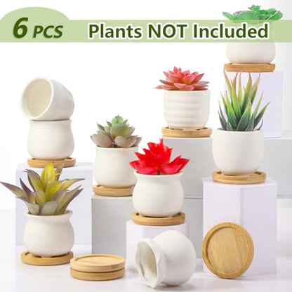 Remerry 6 Pcs 2.5 Inch Mini DIY Ceramic Succulent Pots with Bamboo Tray - size: 2.5 Inch