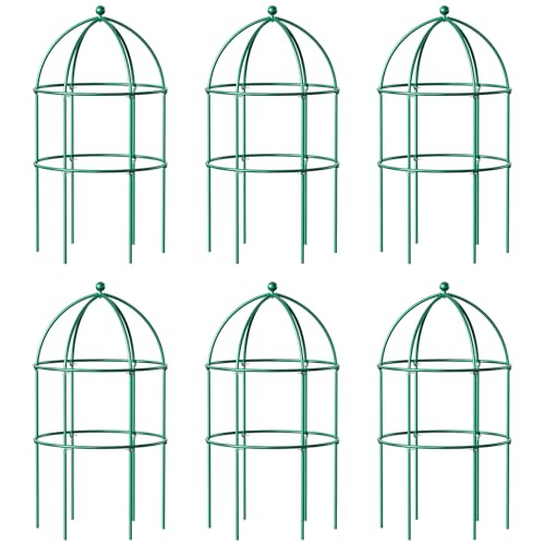DoCred 6 Pack Peony Cage, 15.7" x 31.5" Metal Plant Support Garden Trellis - color: Green, size: 31.5"H x 15.7"W/6PC