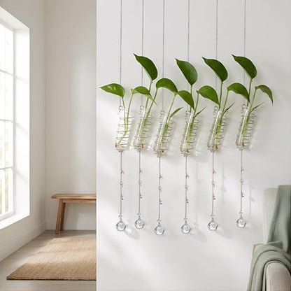 6Pcs Hanging Plant Propagation Station with Crystal Ball Prisms Suncatcher - color: Silver