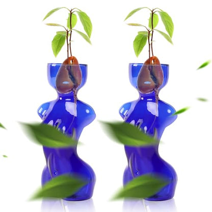 Plant Propagation Jars Unique Body Avocado Vase - color: Blue