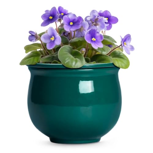 8 Inch Ceramic Self-Watering Flower Pots, Blackish Green - color: Blackish Green, size: 8 Inch