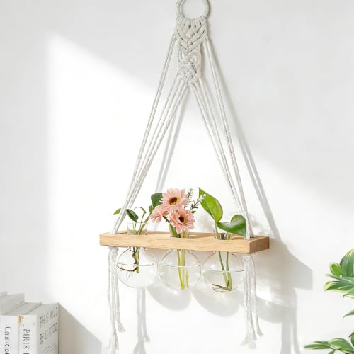 Glasseam Wall Hanging Propagation Station with 3Pcs Glass Propagation Vases