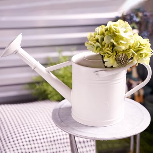 1 Gallon White Metal Watering Can with Removable Watering Rose