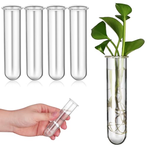 YARNOW 5 Pcs Propagation Station, Glass Test Tubes for Plants, Plant Propagation Tubes for Hydroponic Growing, Desktop Clear Glass Vases for Cuttings, Home Office Decor