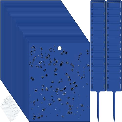Qualirey 100 Pcs 6 x 8 in Blue Sticky Traps for Gnats Plant Insect Trap - color: Blue