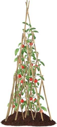 Garden Bamboo Trellis for Climbing Plants Outdoor, Adjustable Height 60 to 70inches Tall Cucumber Trellis, Obelisk Plant Support for Climbing Vine Vegetable Tomato Peas Bean