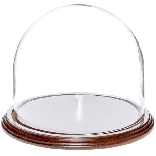 Plymor 8" x 6.5" Glass Display Dome Cloche (Dark Mahogany Veneer Base) - color: Dark Mahogany Veneer Base