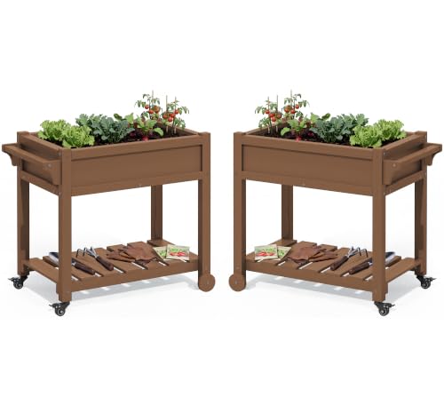 SERWALL Raised Garden Bed on Wheels with Storage Shelf Set of 2,Brown - color: Brown, size: 2 Pack