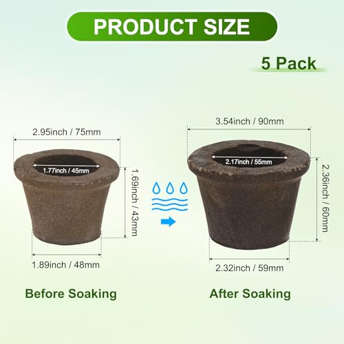 M METERXITY 5-Pack Grow Sponges, 3.5x2.3x2.4 Inch Replacement Root Growth Sponges Seed Pods for Plant Rooting/Seed Germination/Hydroponic Gardens System Supplies, Starter Plug for Seeds - size: 3.5x2.3x2.4 Inch