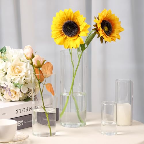 Fixwal 12 Pack Clear Glass Cylinder Vases, 4, 6, 8, 10 Inch Tall - size: 12pcs
