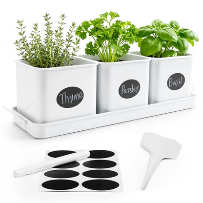 Indoor Herb Planter with 3 Herb Pots and Handled Tray