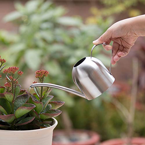 Watering Can for Indoor Plants, 450ml/15oz Stainless Steel - size: Silver 15 oz