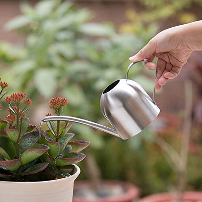Watering Can for Indoor Plants, 450ml/15oz Stainless Steel - size: Silver 15 oz
