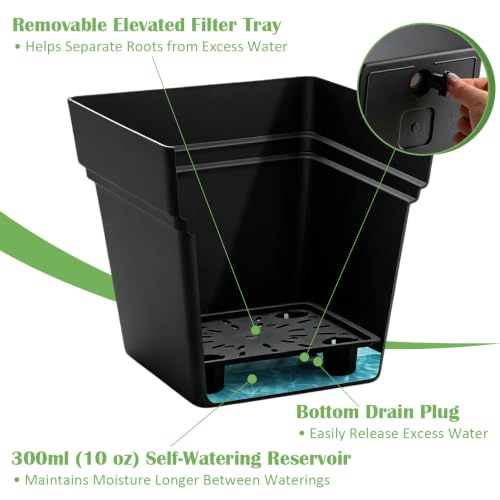 6-Pack 7 Inch Square Planters with Built-in Drainage Tray & Bottom Plug - color: Black