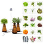 Lettuce Grow Counterstand | Hydroponic Kit with LED Grow Light | Compact - size: with Glow Lamp