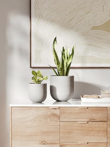 LE TAUCI 6 Inch Ceramic Plant Pot, Small Indoor Planter, Neutral Gray - color: Neutral Gray, size: 6 Inch