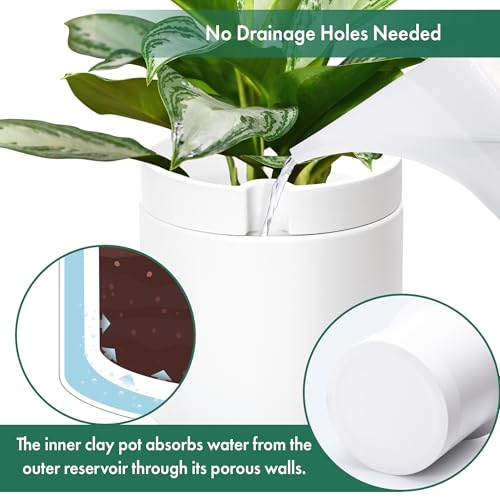 Phoenix Vine 10 Inch Cylinder Self Watering Planter, White Glazed Outer Plant Pot with Dolomite Clay Inner Planter for Indoor Plants, White, 31-A-I-W - color: White