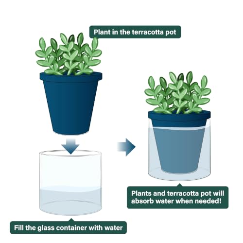 D'vine Dev Self-Watering Blue Terracotta Planter, 4 in, 3-Pack, 37-Z-A-4-T - color: Blue