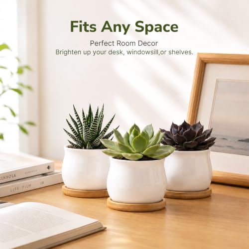 ZOUTOG 12 Pack 2.6" Mini Ceramic Succulent Pots with Drainage Hole - size: 2.6inch