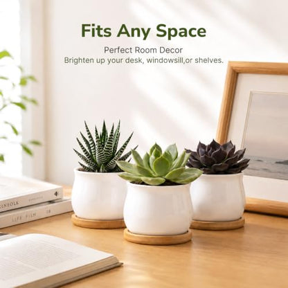 ZOUTOG 12 Pack 2.6" Mini Ceramic Succulent Pots with Drainage Hole - size: 2.6inch